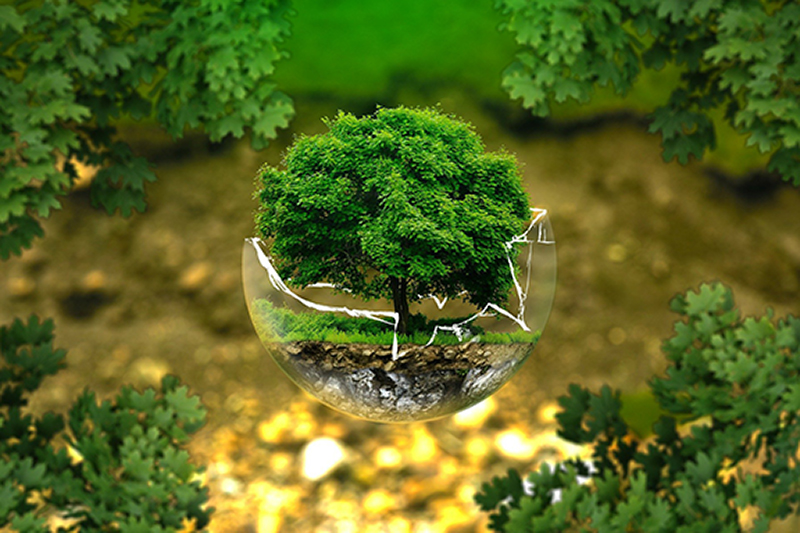 environmental-protection_800 , Environmental, Social, and Governance (ESG), Cantrex Nationwide